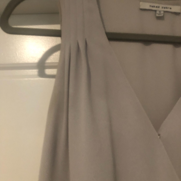 Naked Zebra Dress - Picture 6 of 11